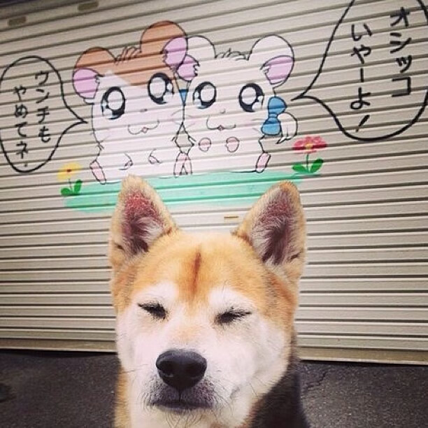 爱游戏娱乐网址-“西甲焦点战：明星对决引爆全场热情”，西甲大牌球星