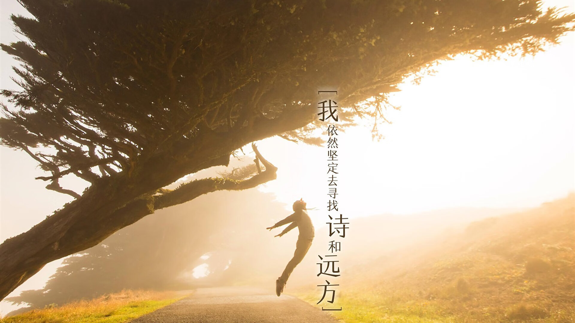 爱游戏体育-【马克·塞尔比】防守技巧实录：让对手无计可施，马克·塞尔比老婆