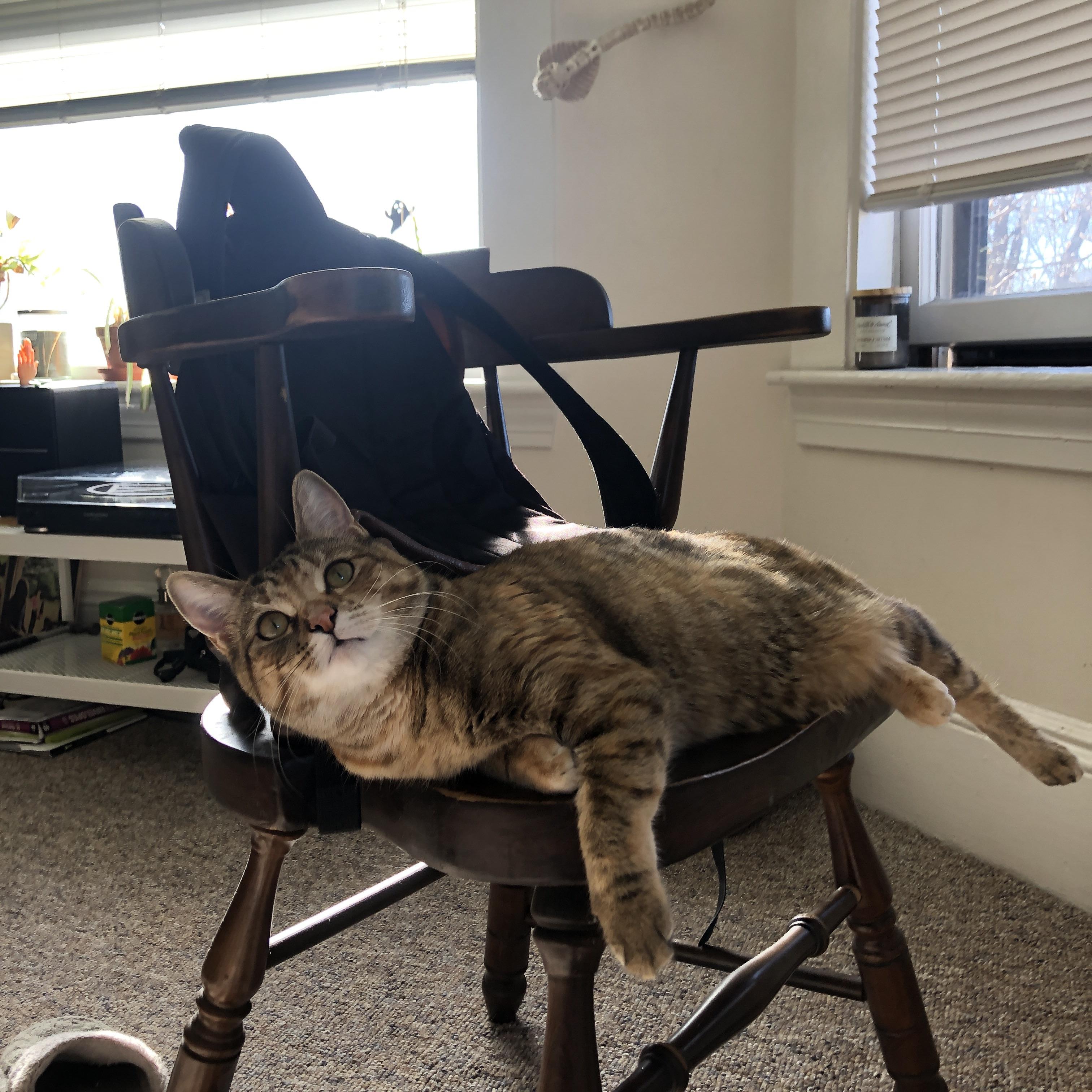 国家级特色青训产业园区在多地区集中落地,行业发展基础不断夯实