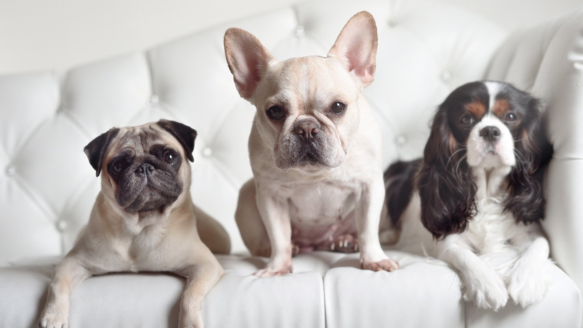 英格兰骑手莎拉·摩根在巴黎奥运会障碍赛中获得第十二名,展现坚韧精神。