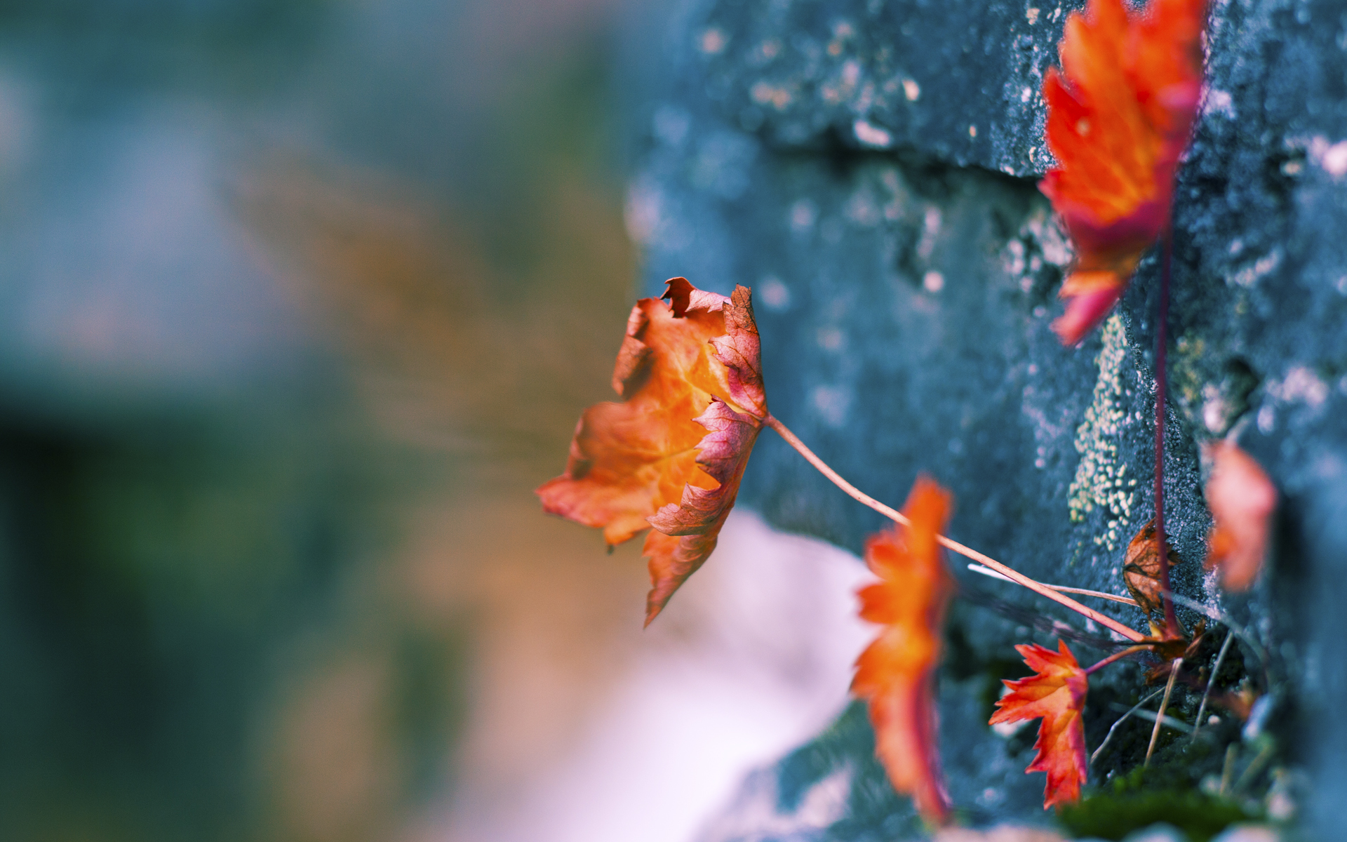 迈阿密热火正式宣布引进“超级中锋”,终结防守难题,迈阿密热火2021