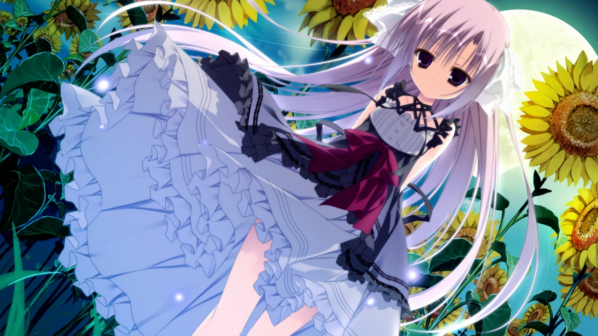 2024年第七届成都全球象棋双人赛圆满落幕,成都象棋擂台赛