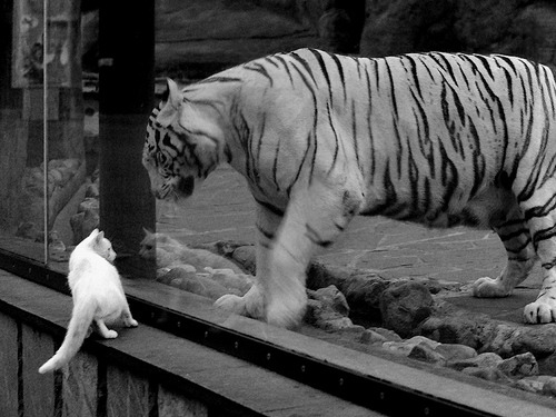 国际米兰遭遇AC米兰逆转,惨遭败绩,ac米兰和国际米兰的赛程