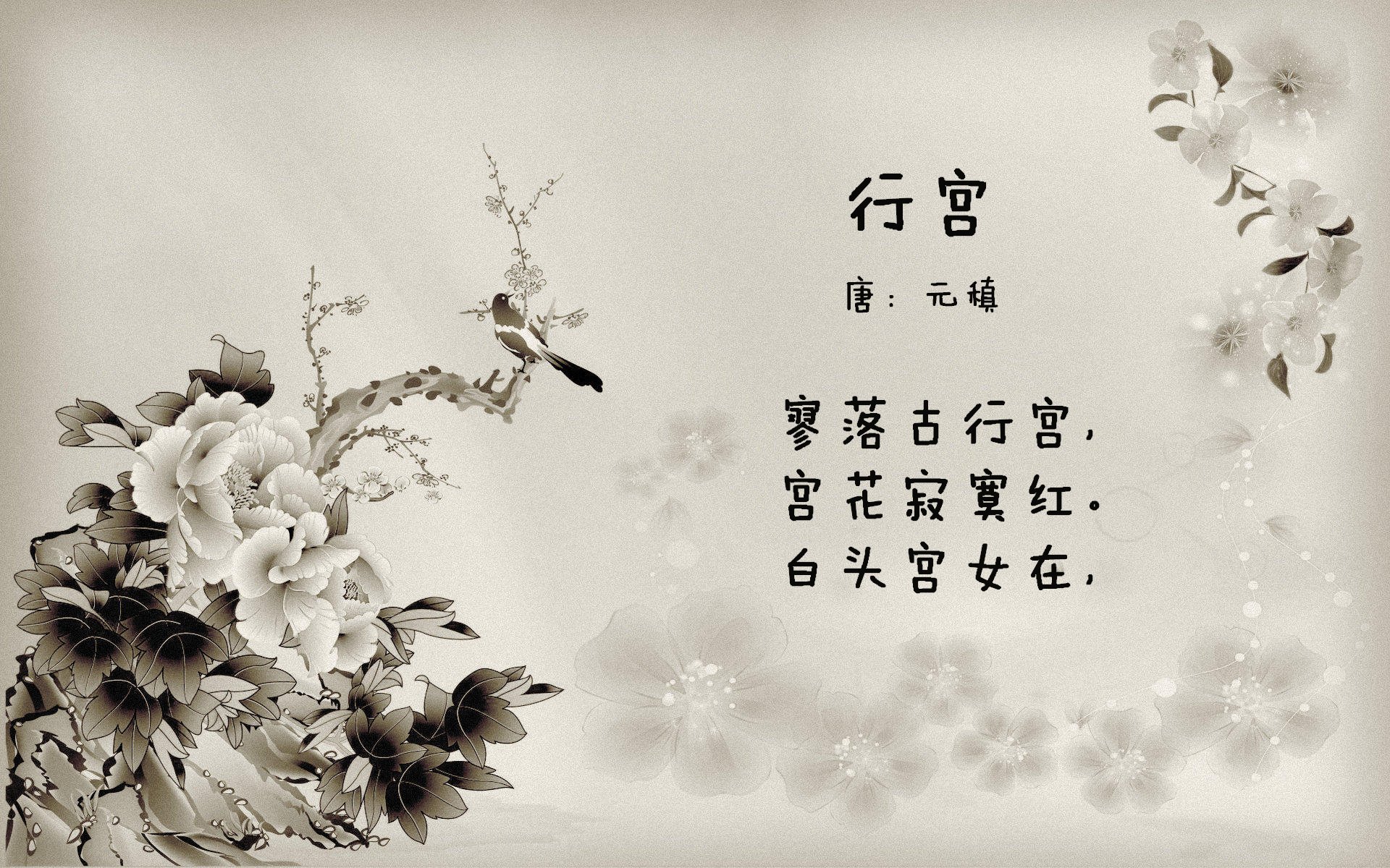 爱游戏平台-奥地利队欧洲杯表现出色，主帅续约，奥地利队欧洲杯阵容