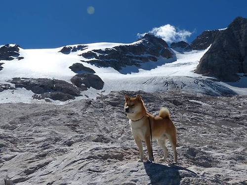 AYX SPORTS-球员体能数据分析是否已成为训练常态，职业球员体能训练