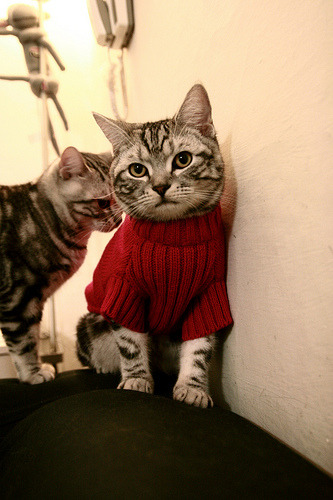 球员公开批评联盟是否应处罚,球员公开批评联盟是否应处罚对方