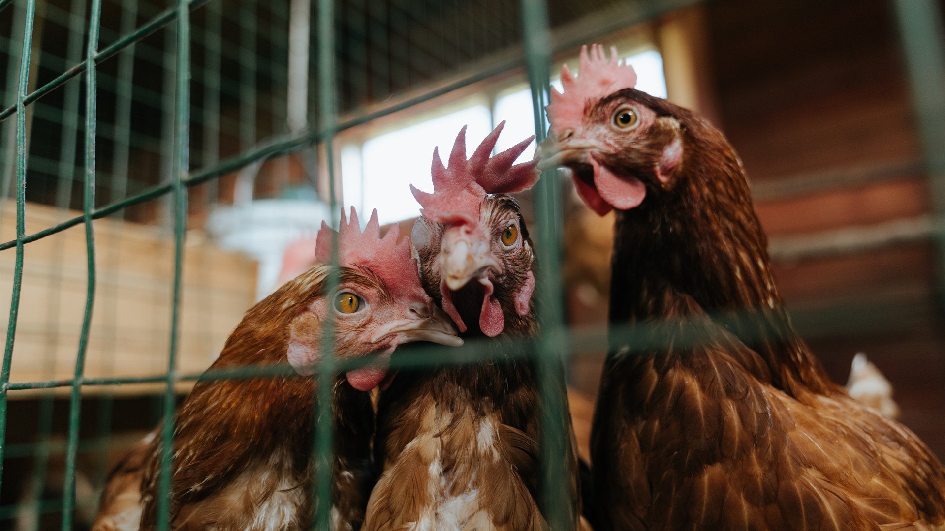 AIYOUXI.COM-中国篮球联赛球队战术创新及实战应用案例分析，篮球技术创新