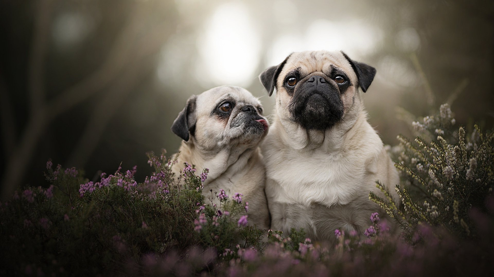 中小学体育课程内容优化及实践探索，中小学体育课程实施方案