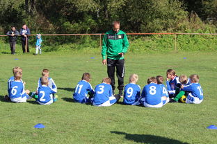 爱游戏体育平台-德甲球队构建战术模拟平台提升临场应变能力，德甲模式