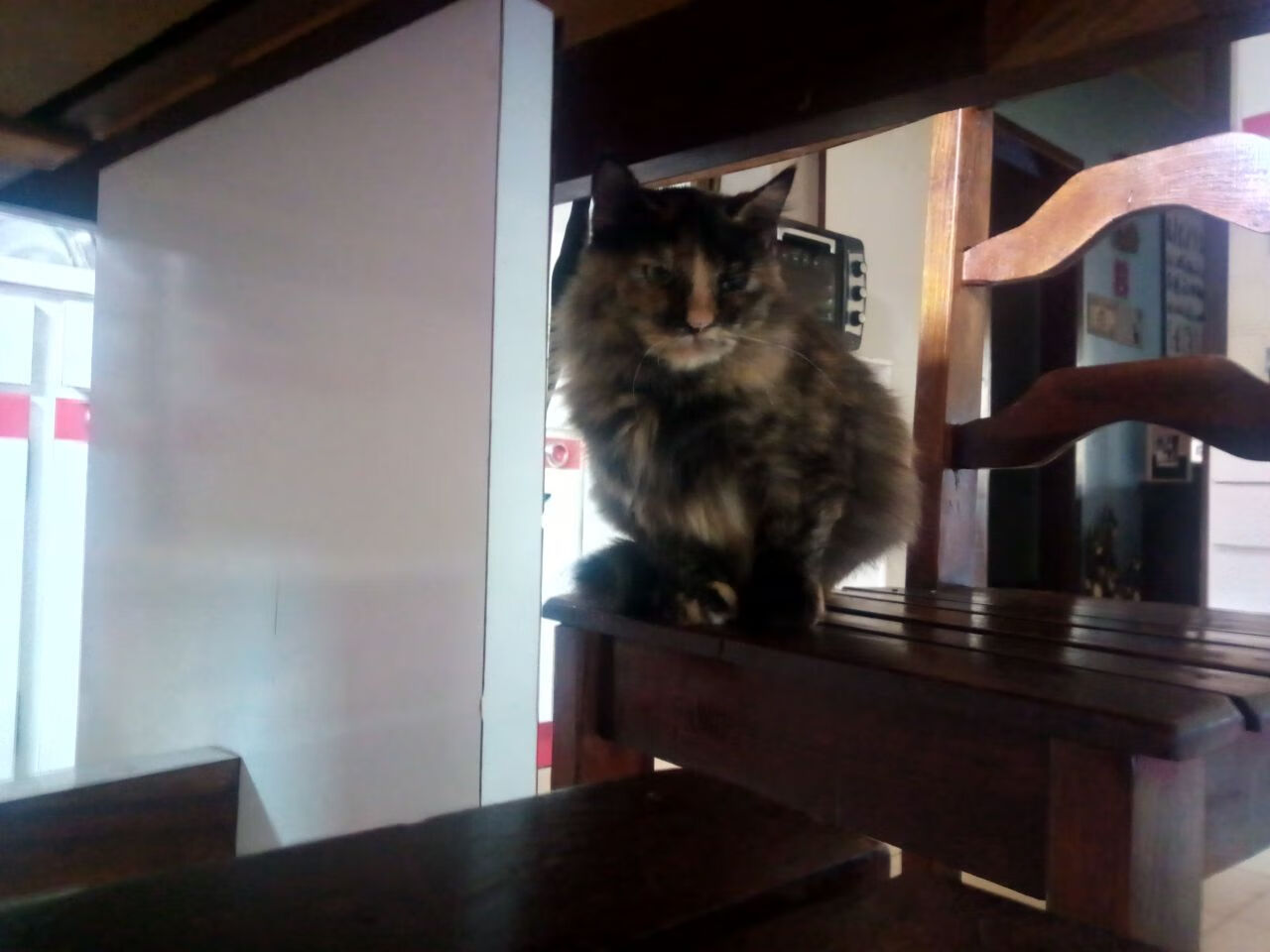 篮球专项体能训练智能化监测与动态调整研究,篮球体智能课程介绍