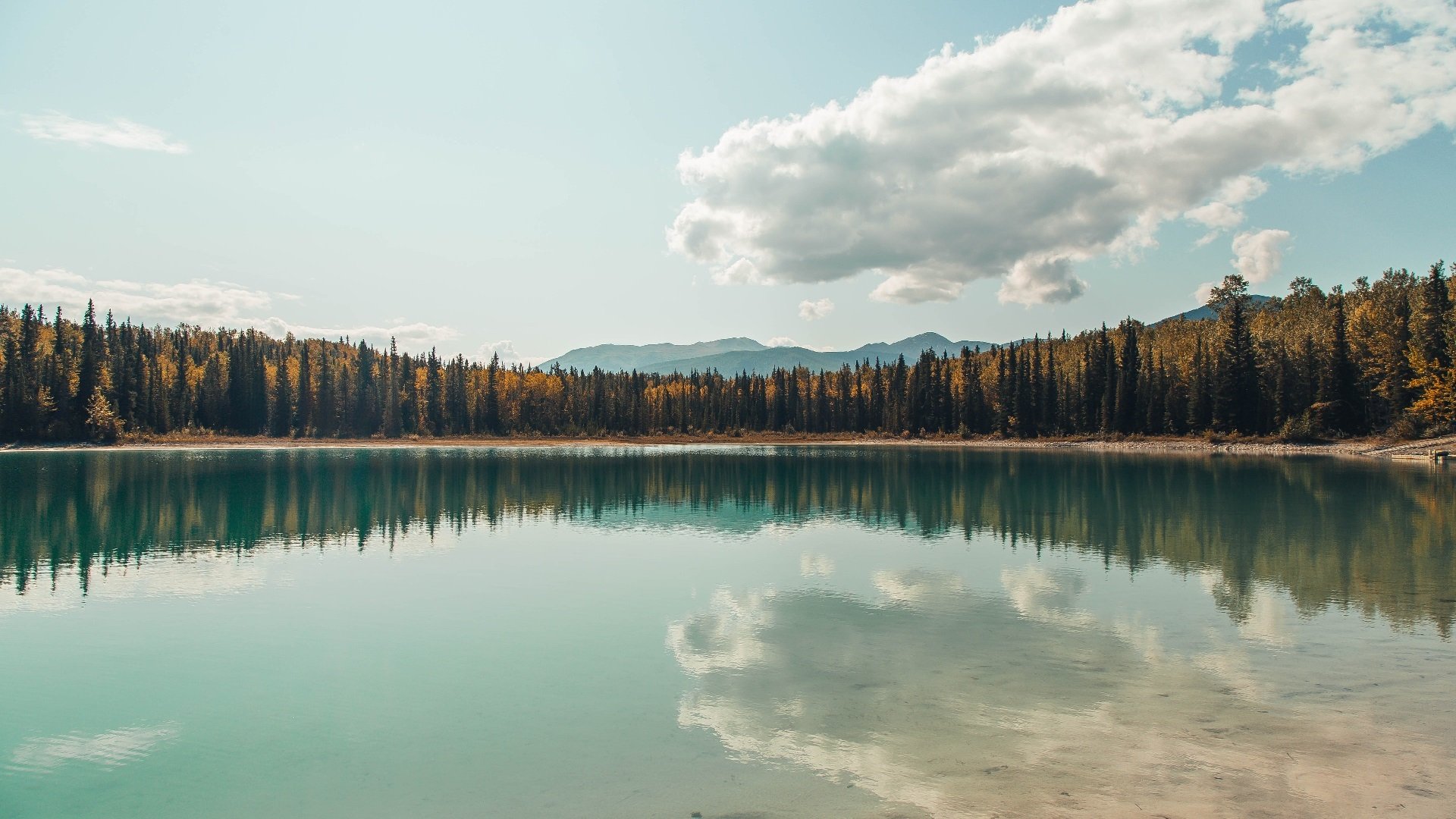 篮球运动员专项技能动作动作捕捉技术创新应用研究,篮球专属动作