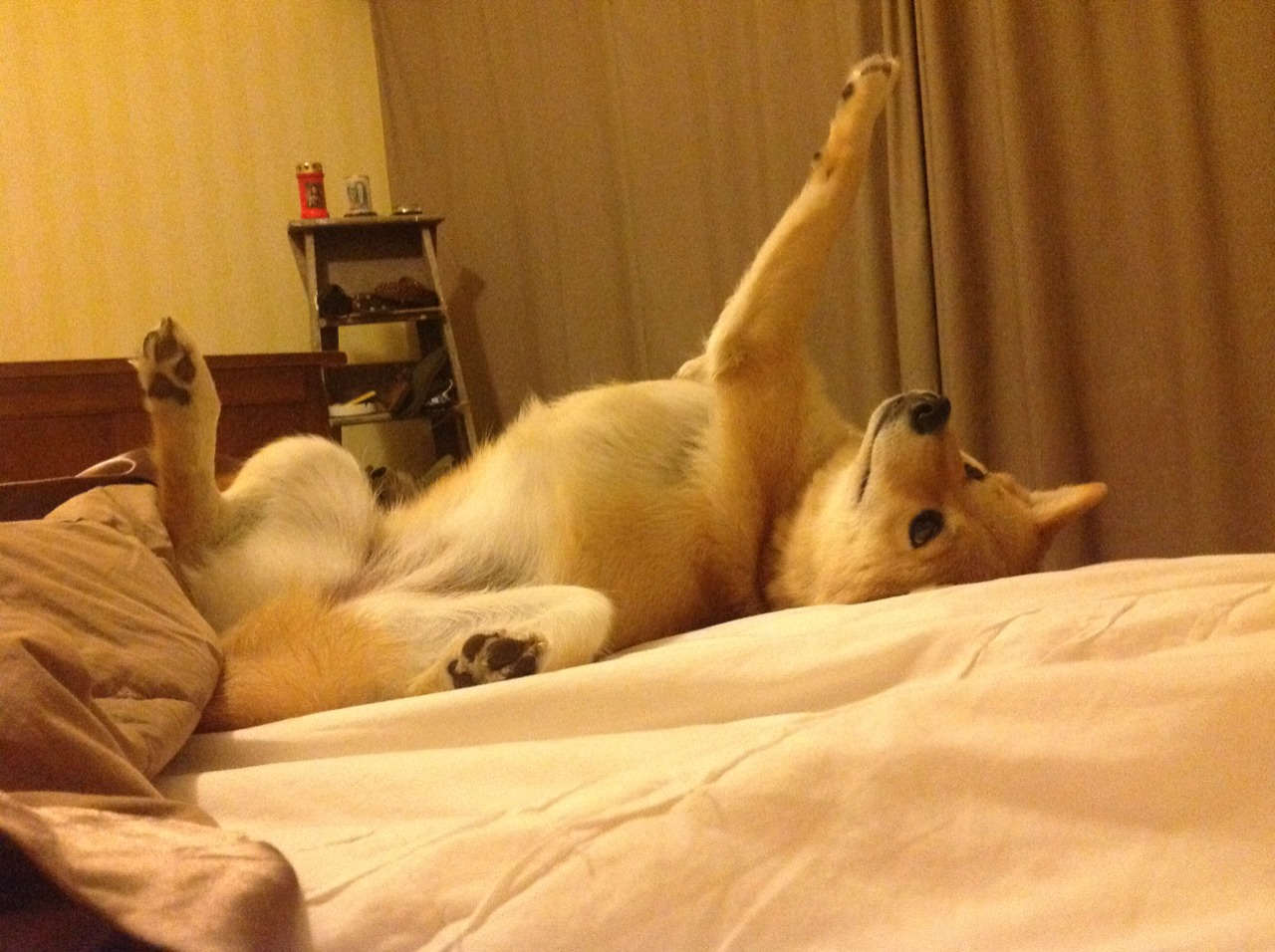 背景故事:欧洲冠军联赛中的经典人物传记,欧洲冠军分组