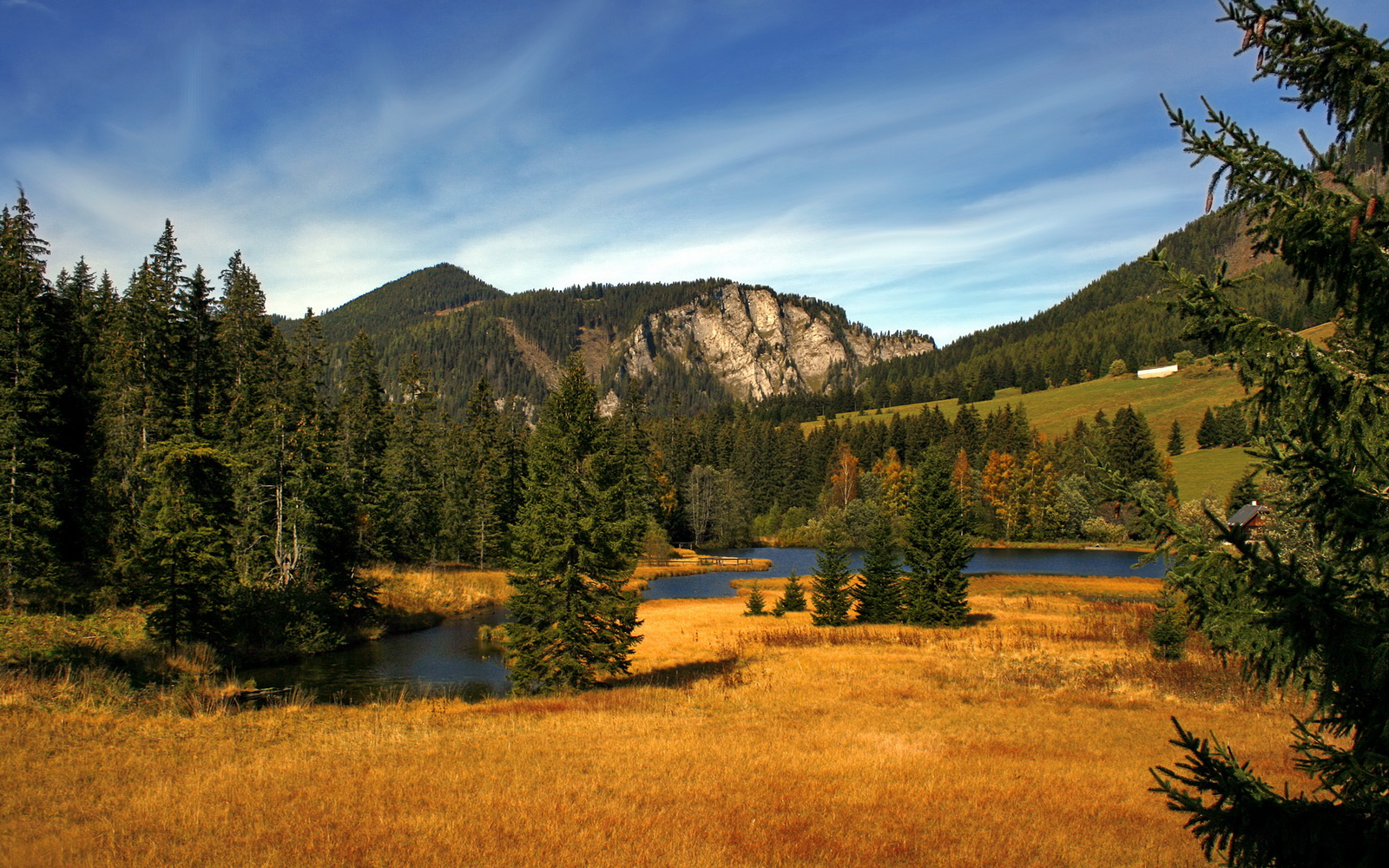 爱游戏中国官方登录入口网站-中国女篮技战术水平不断提升 战绩稳步前进，中国女篮战况如何