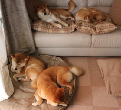 五大联赛冷门爆出背后的战术板决策逻辑,五大联赛集体爆冷