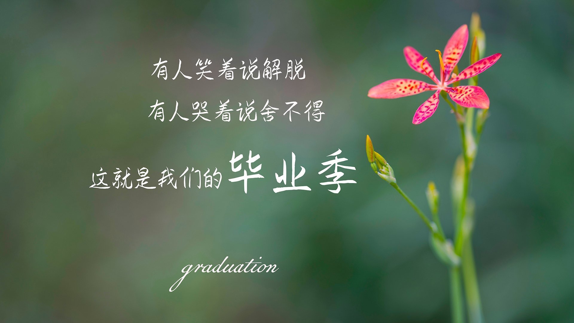 利物浦后场出球节奏加快助推反击速度,利物浦主力后卫