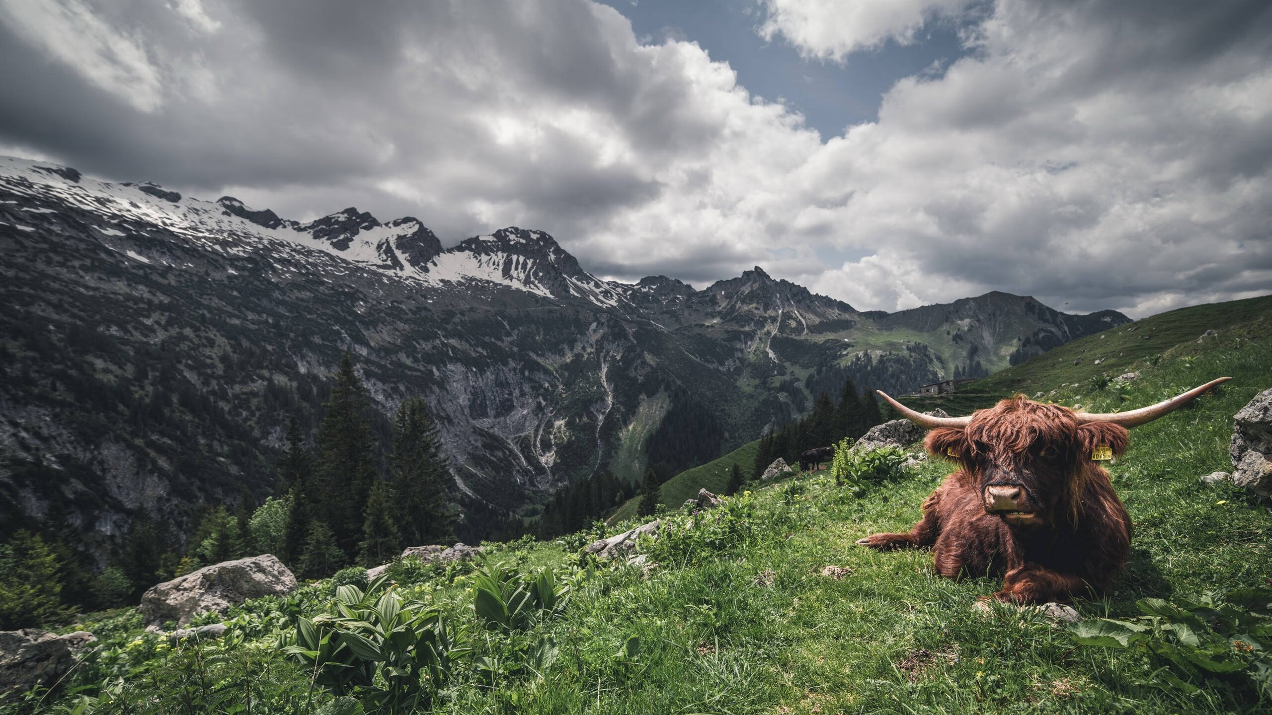 替补席能否发挥稳定战术执行能力影响赛季后期，替补席是什么意思