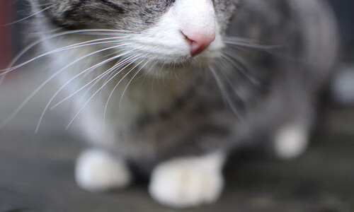 城市基础设施提升配套，赛事承办能力获肯定，城市基础设施概念