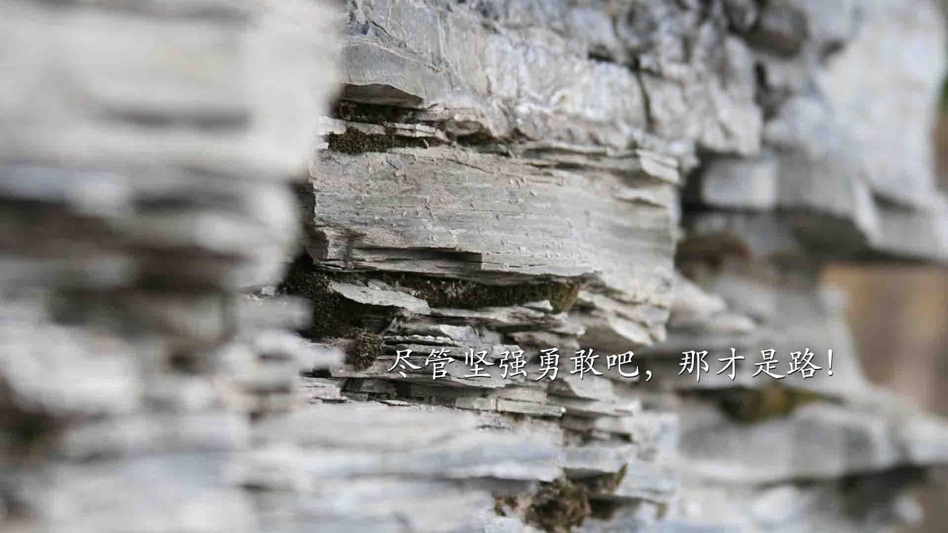 德甲妙招不断：策略多变，精彩不断！