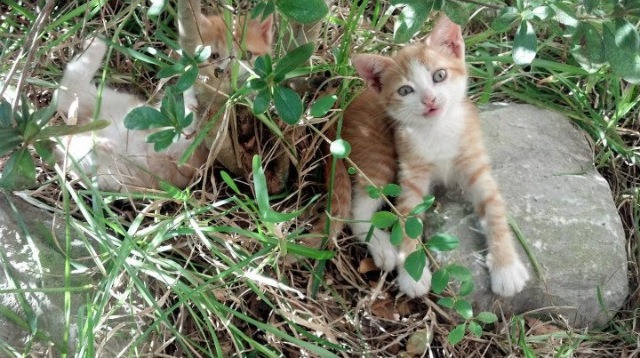 艾比·德尔福:全场高效的防守表现,令对方攻势屡屡受阻,艾德比尔送水案例