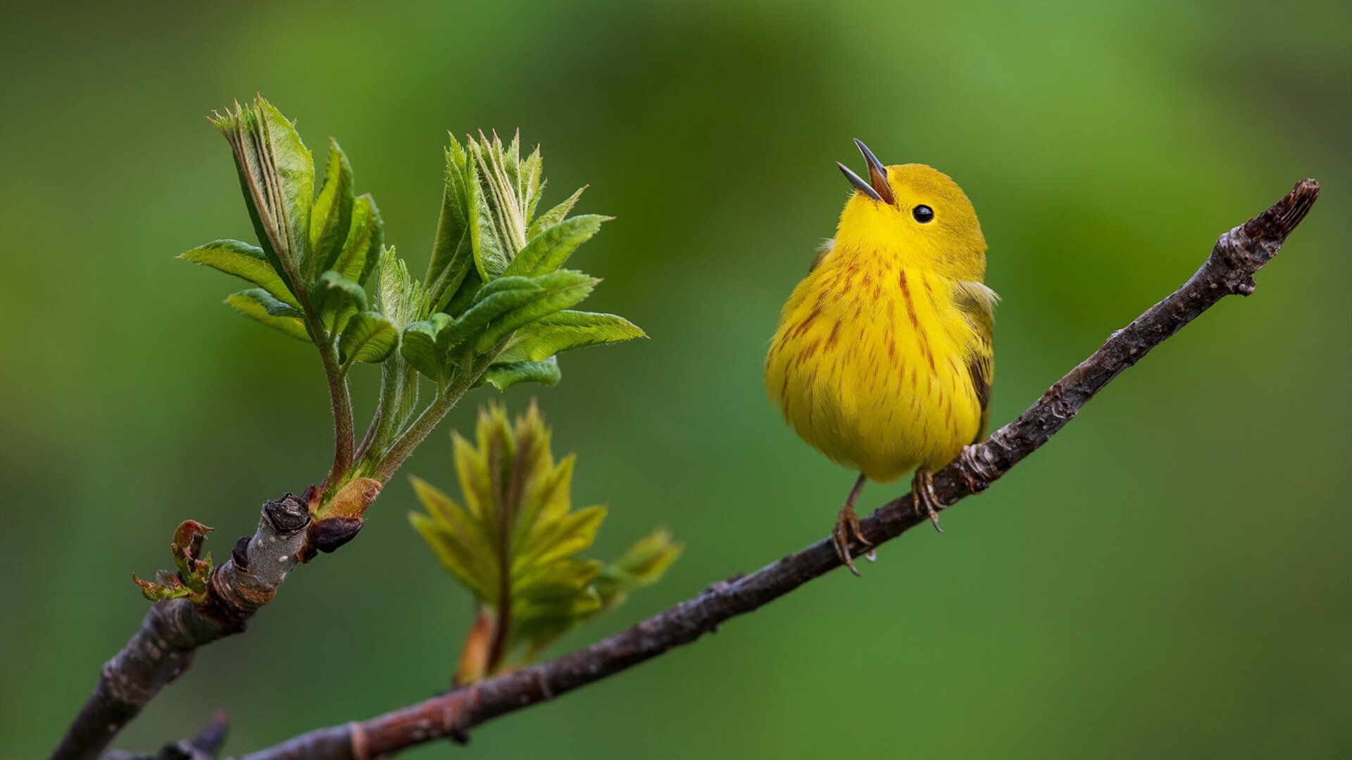 英超转会窗最后48小时追踪，英超转会期结束时间